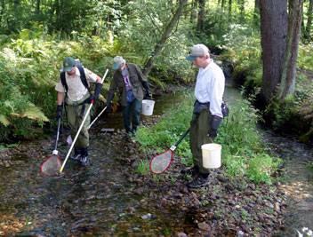 The New Hampshire Fish and Game Department conducting a stream backpack