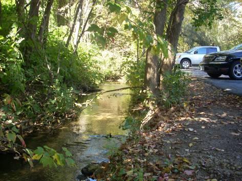 The loss of riparian buffers along stream corridors allows pollutants associated with parking lots a pathway to enter streams and lakes.