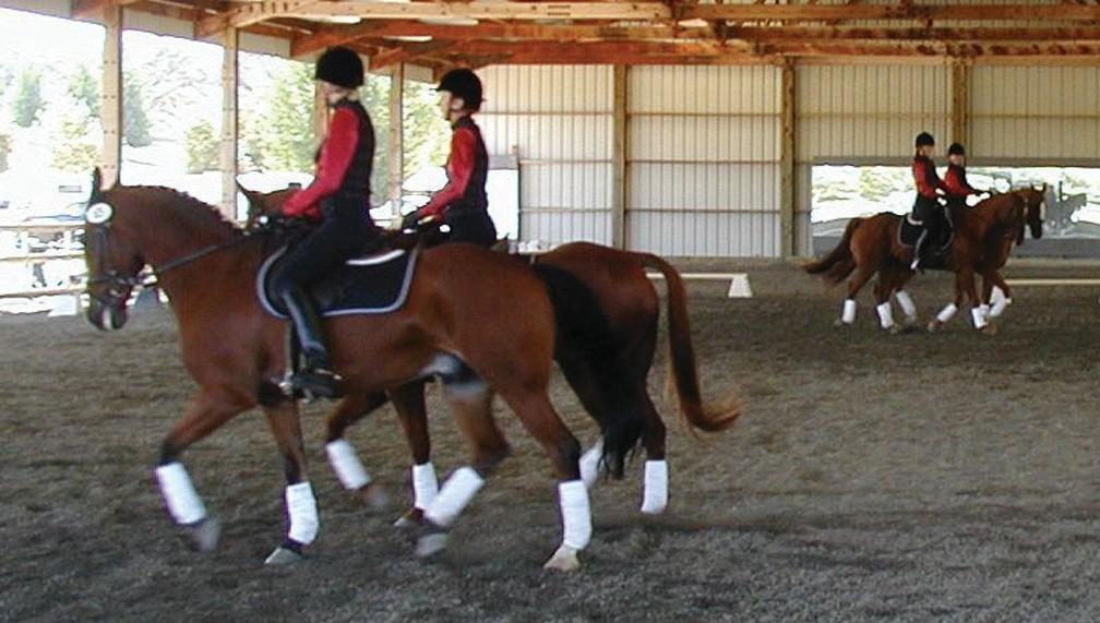 The music should not just suggest the right tempo for the various gaits, it should also present a program.