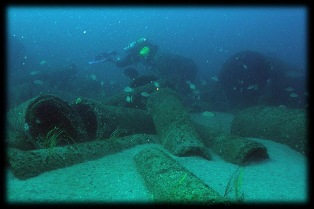 Nearshore Artificial Reef System Ponce de Leon