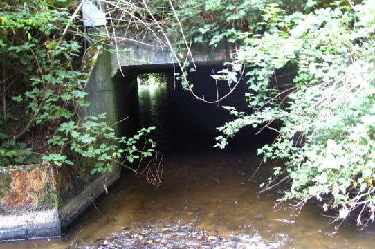 RCW 77.57.030 requires unrestricted fish passage at all stream crossings U.S. District Court permanent injunction No.