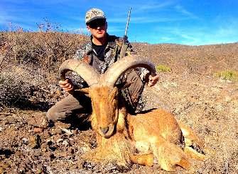 Aoudad (Barbary) Sheep Hunts The Old Alazan offers free range aoudad (barbary) sheep hunts from November through February. These hunts are offered as a rifle or archery hunt.
