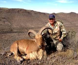Guides will spend as much time as necessary locating a mature ram. Typically this is accomplished by glassing at longer distances. The final stalk will be on foot and can be arduous.