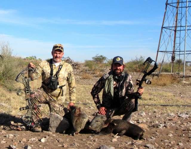 Javelina Hunts Javelina roam the canyons, plateaus and mesas of the Alazan. The Ranch can provide one day javelina hunts as an add-on to mule deer, aoudad and/or quail hunt.