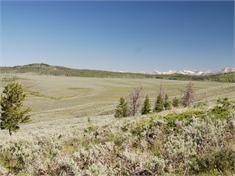 Offering Price is $4,400,000 MacKenzie Highland Ranch Dubois, Wyoming The MacKenzie Highland Ranch is a stunning 118 acre parcel located along the Wind River, outside of Dubois, Wyoming.