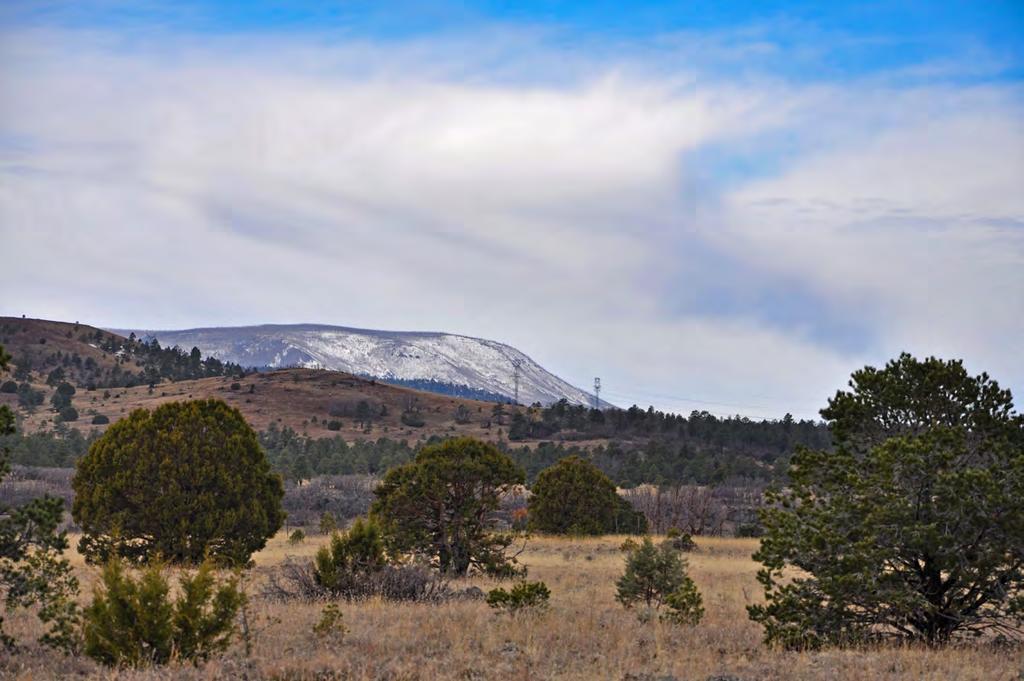 Sitting on the Mogollon Rim just west of Springerville, is Show Low, Arizona.