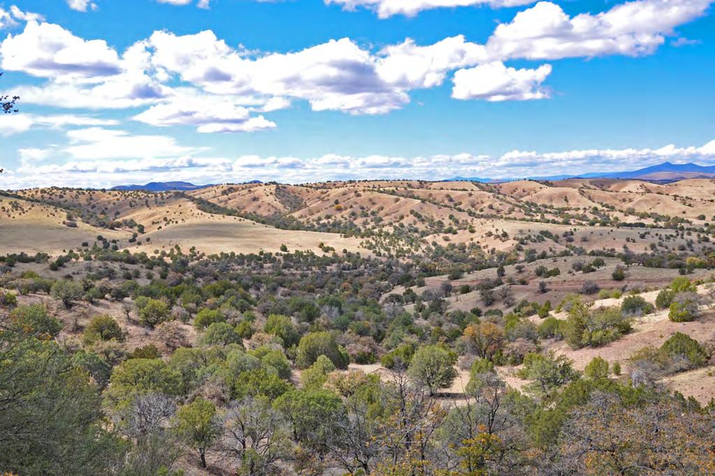 Picturesque Mountain Ranch, Luna New Mexico Heavenly Acres Ranch sits at the northern edge of the Apache National Forest, in a picturesque setting of varied terrain from lush green meadows to large