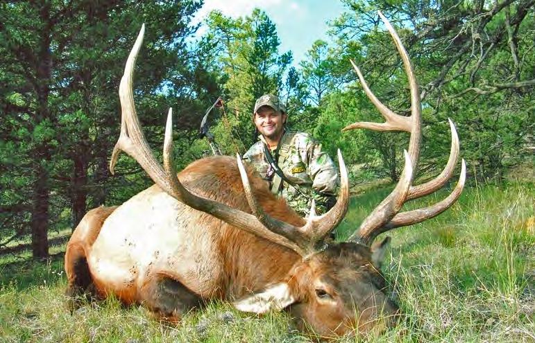 Mule deer hunting takes place with rifles, muzzleloaders, and bows, and licenses can be obtained through the state lottery or