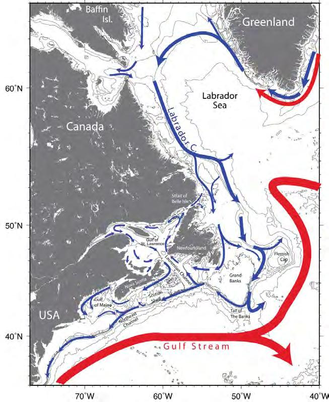 Northwest Atlantic shelf system NW Atlantic circulation Annual range of