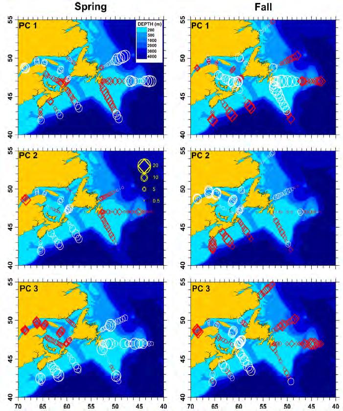 Spatial zooplankton community pattern, 1999-2011 The dominant mode of community spatial variation in both spring and fall is associated with depth shallow and shelf community vs.