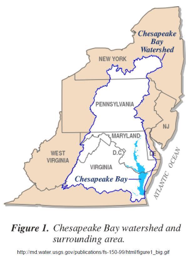 Environmental Changes and Challenges Sedimentation and the Watershed Background Information The Chesapeake Bay is the largest estuary in the United States and the third largest in the world.