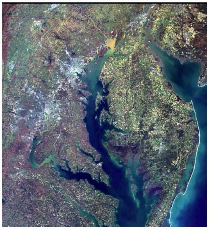 people each have an impact on the water quality of the Chesapeake Bay, and that is why the Bay faces so many environmental challenges.