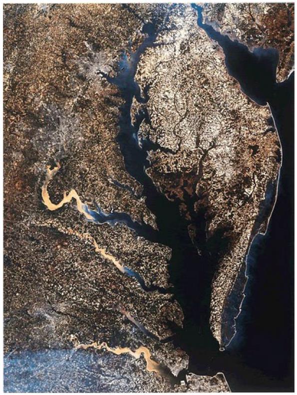 Agricultural lands on the Eastern shore are a bright yellow or white tone. Baltimore and Washington DC contain large areas of impervious surface and appear light grey.