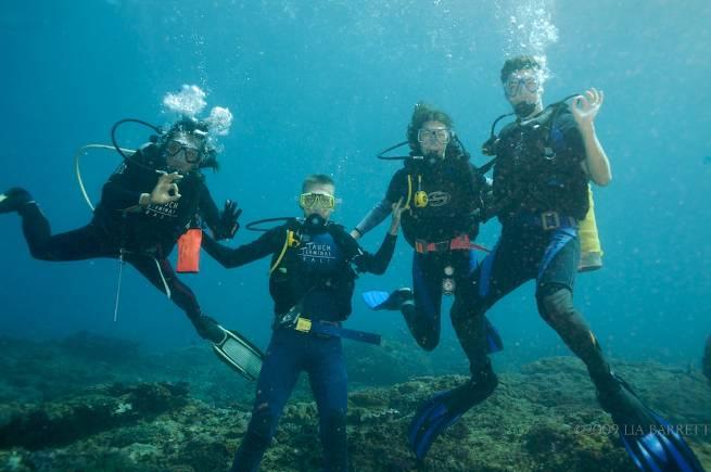 TAUCH TERMINAL RESORT & SPA TULAMBEN SSI DIVE EDUCATION PROGRAMS & COURSES (German, English, Indonesian) Try Scuba «No Certificate» 75, Theory Lesson, One Pool Dive / Confined Water Dive, One Open