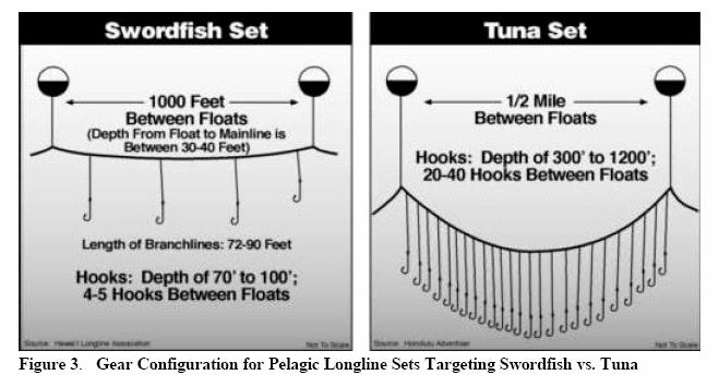 Figure 3. Gear configuration for pelagic longline sets targeting swordfish vs. tuna (Figure from NMFS 2001c).