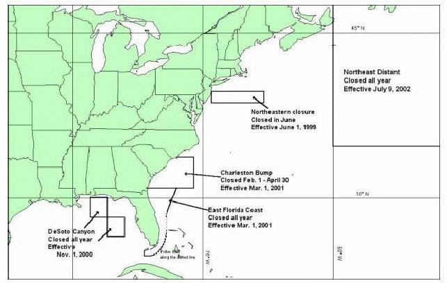 Figure 4. Areas closed to pelagic longline fishing (Figure from NMFS 2001c).