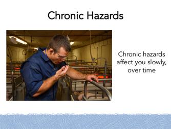 In swine confinement buildings, there are two forms of respiratory hazards. The first is long term or chronic hazards that affect the body slowly and over time.
