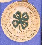 South Dakota 4-H Key Award Award: MTM 713-M The 4-H Key Award is given to 4-H members who have passed their 16 th birthday. Required: 4-H member has received the County 4-H Citizenship Award.
