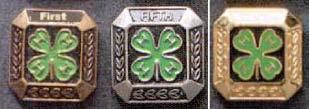 1 st, 5 th or 10 th year member pin (circle award applying for) Award: P-1120 (1 st )** P-1140 (5 th ) ** P-1160 (10 th ) 4-H Member Name Required in year applied for: 4-H member attended four club