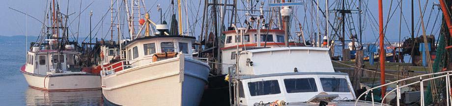 Fishing Vessel Safety Regulations Robert Fecteau Transport Canada New Regulations July 13th 2016 : published in the Canada Gazette Part II July 13th 2017: will come
