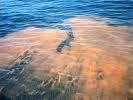 THREATS TO OCEANS Threats to Oceans Fertilizer runoff algal blooms (red tide is