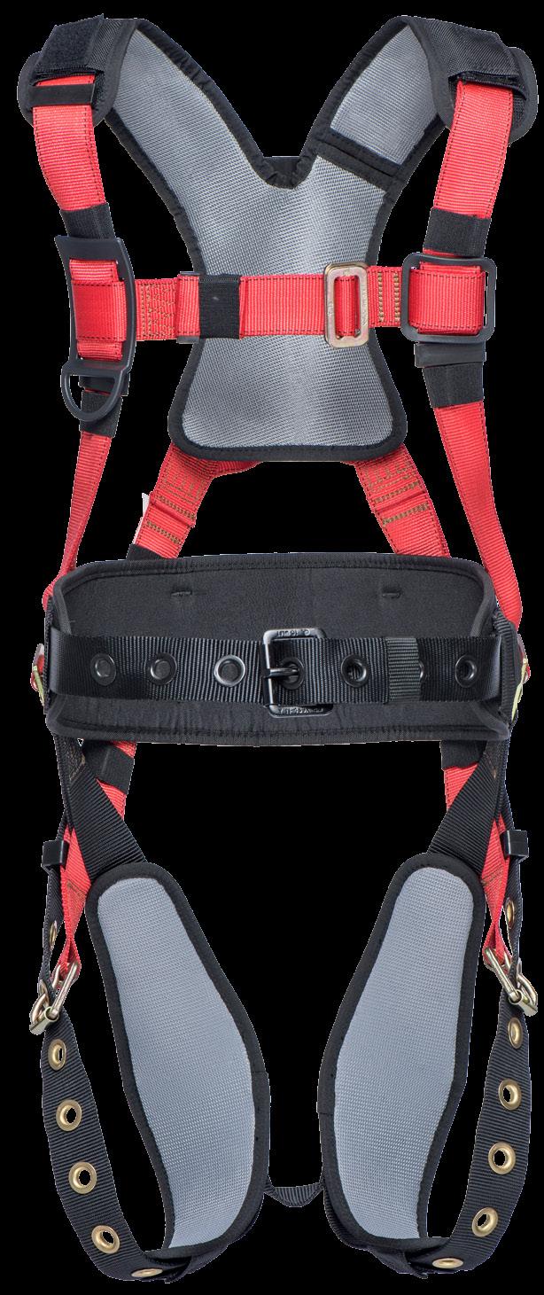 Adjustment Harness with Back Pad and Padded Tongue Buckle Leg Straps