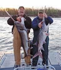 Paddlefish (918) 542-9422 Oklahoma s Prehistoric Monster If you re fishing for a big catch, you won t catch many fish bigger than a trophy paddlefish.