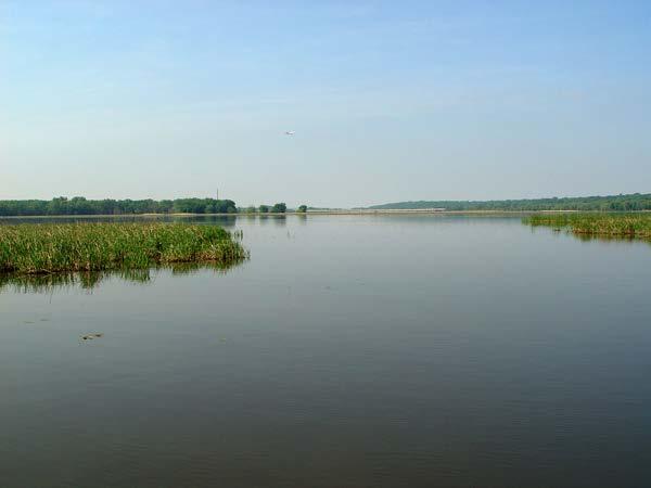 Long Meadow Lake