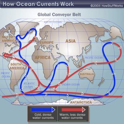 Ocean Conveyor Currents Constantly moving system of deep-ocean circulation driven by temperature and salinity