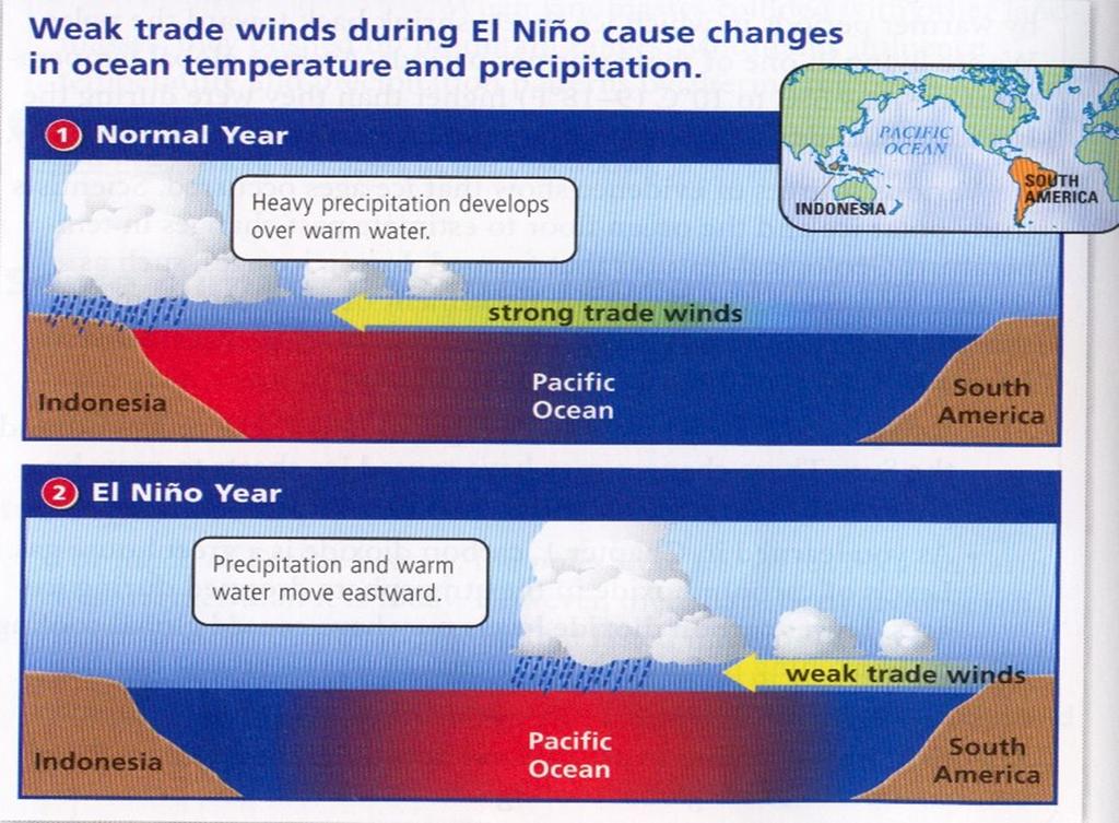 El Nino Weak Trade Winds Warm air stays near South America causing the temperatures