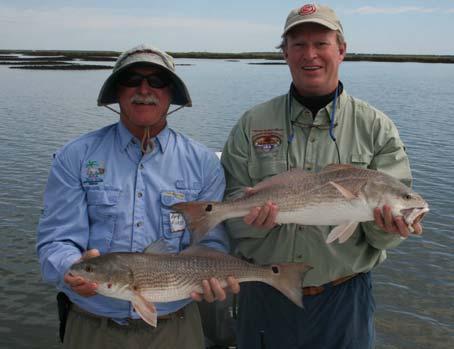 *Red drum have been successfully reared in hatcheries and released into South Carolina, Georgia and Florida estuaries in stock enhancement programs. Largest on Record: 94 lbs. and 2 oz.