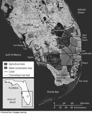 Case Study: Can We Restore the Florida Everglades?