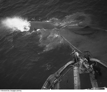 Norwegian Whalers Harpooning a Sperm Whale Economic Incentives Can Be Used to Sustain Aquatic Biodiversity Tourism (whale watching; SCUBA diving; turtle walks ) Economic rewards Reconciliation