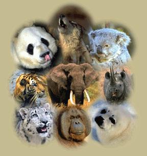 wild species; approach: based on identifying & protecting endangered