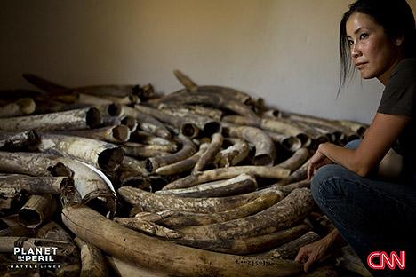 for endangered species. For example- ban on ivory trade.