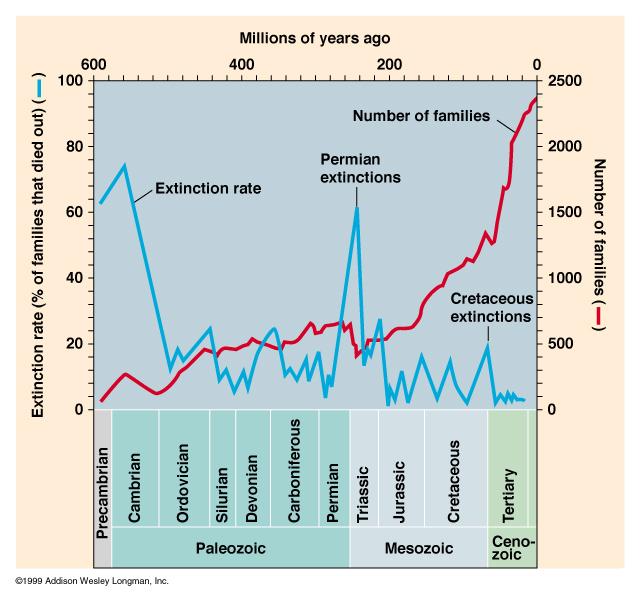went extinct 5 mass extinctions in the past (last one