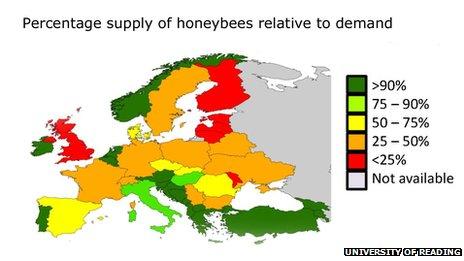 fish Bee colony collapse syndrome