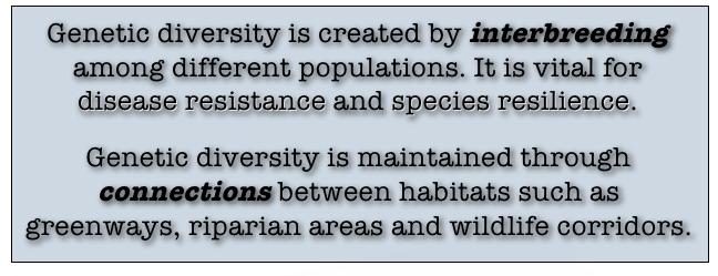 1. Habitat Loss/Fragmentation Most Serious Threat to Biodiversity Habitat