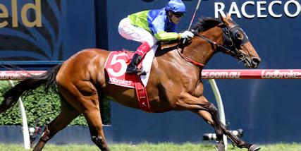 Broodmare owners beat a path to Star Witness during the spring as two outstanding three year olds emerged to lift him from being a promising young sire into the leading Australian third crop sire.