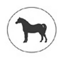 THE WELSH PART-BRED HORSE GROUP AFFILIATED AWARDS (In association with the Welsh Pony & Cob Society).
