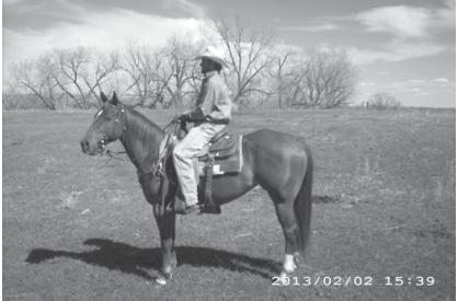 Wyoming Blanton Wilmeth s Rose Blantons Wildflower Copper Doc Good Cheer Rancho Cheerleader CONSIGNOR: LEANIN POLE ARENA- DUSTIN ENTZEL KILLDEER, ND 5 Essy is a beautiful gray gelding, Plus a mind to