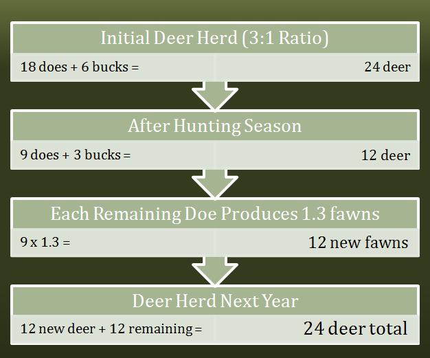 Deer Population Dynamics Need to harvest