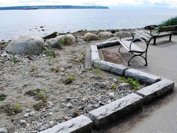 A new trail was created along the upper shore providing access from John Lawson Park to the foreshore and across the site.