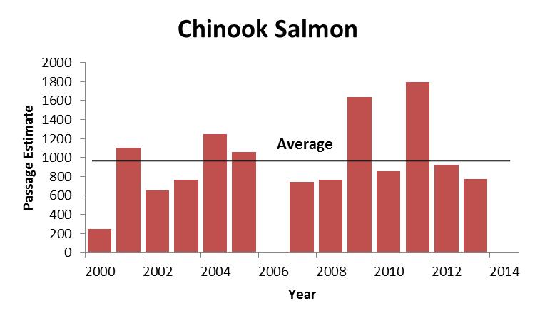 Figure 2. Annual estimates of Chinook salmon escapement at Henshaw Creek weir, Alaska, 2000 through 2014.