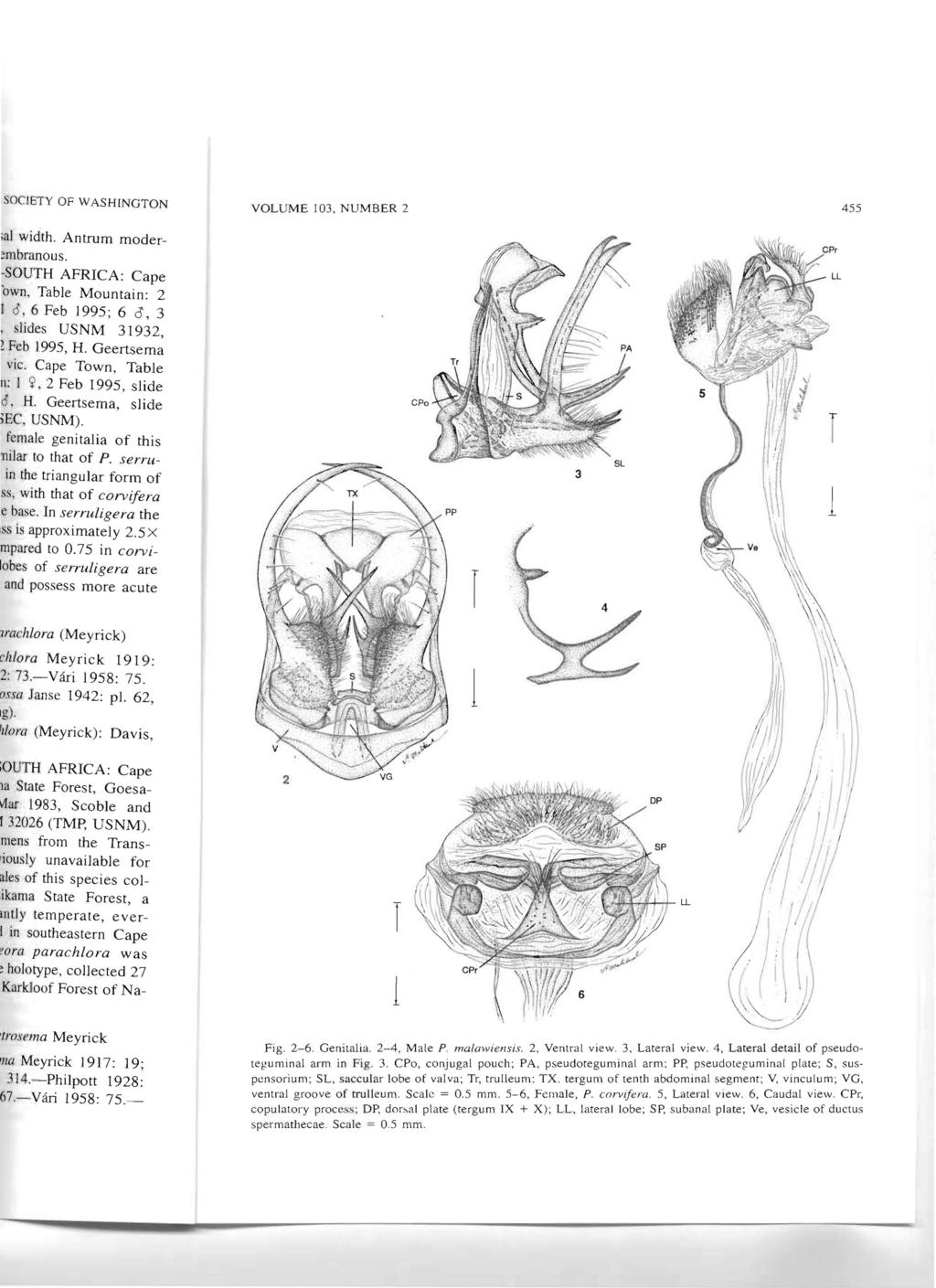VOLUME 103, NUMBER 2 455 1 F ig. 2-6. Genitalia. 2-4, Male P. malawiensis. 2, Ventral view. 3,