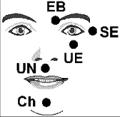 It is, again, the order in which they should be tapped: TH = Top of the Head EB = Eye Brow SE = Side of the Eye UE = Under the