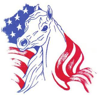 Show Me Little Equine Presents National Area IV Show 2018 May 11-13, 2018 National Equestrian Center Lake St. Louis, Mo.