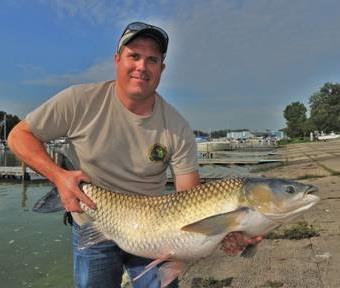 grass carp collected and two
