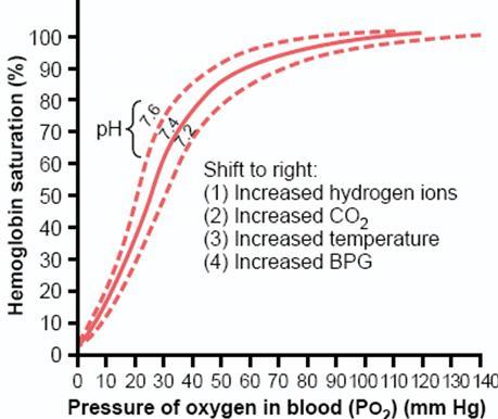 - Oxygen-hemoglobin dissociation curve: How is oxygen carried in the body? 97% carried by hemoglobin. 3% dissolved in plasma.