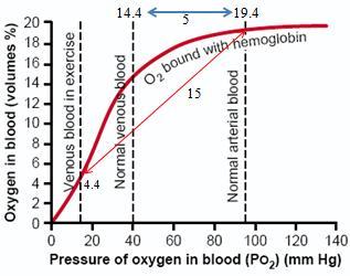 Therefore, 100 ml of blood can carry (15 x 1.34 = 20.1 ml of oxygen). Notice that in arterial blood oxygen content is 19.4 ml/100 ml (20.1 is approximated) while oxygen content in venous blood is 14.